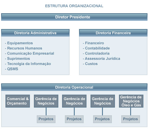 Organizao Estrutural